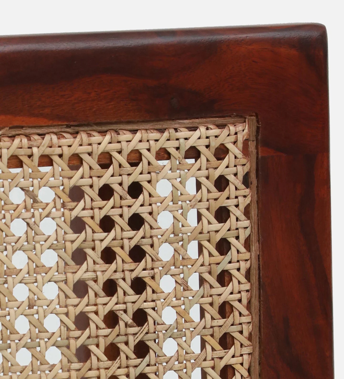 Sheesham Wood Slipper Chairs with Cushion In Honey Oak Finish